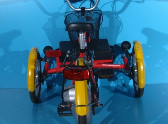 Tricicleta ortopedica electrica Hoening T-Bike
